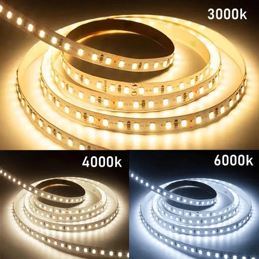 Flexible 2835 PCB LED Strip 10mm – 1200 LEDs, 1–10m Roll, DC12V/24V Indoor Lighting