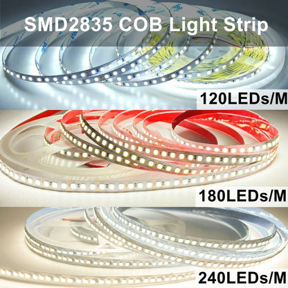 Flexible 2835 PCB LED Strip 10mm – 1200 LEDs, 1–10m Roll, DC12V/24V Indoor Lighting