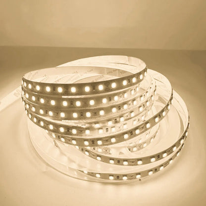 Flexible 2835 PCB LED Strip 10mm – 1200 LEDs, 1–10m Roll, DC12V/24V Indoor Lighting